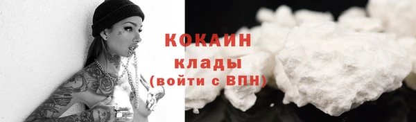 гашик Арсеньев