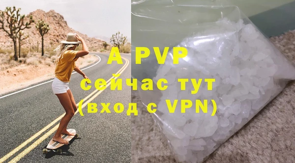 гашик Арсеньев