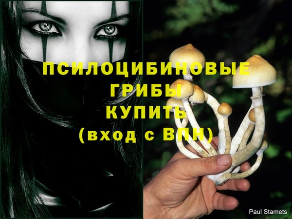гашик Арсеньев